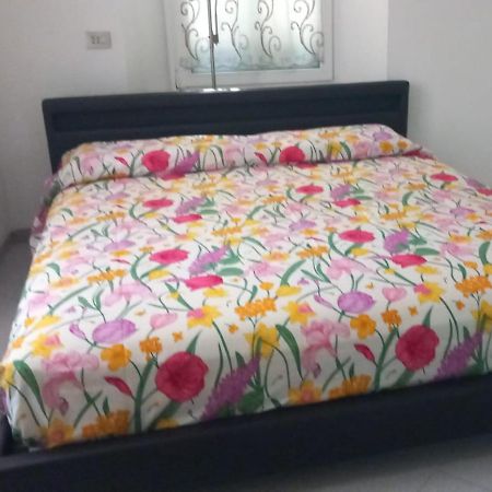 ドモドッソラCasa Andreeaアパートメント エクステリア 写真