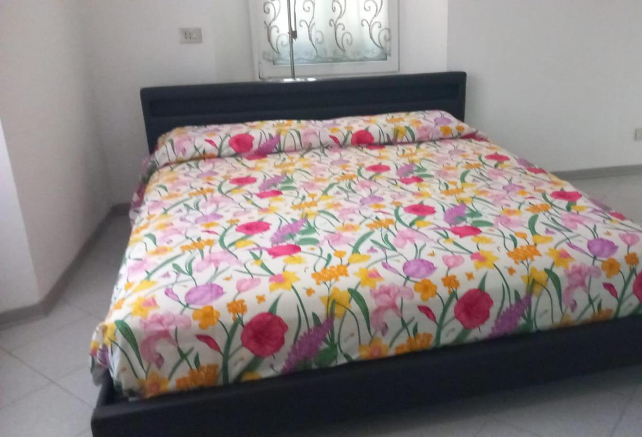 ドモドッソラCasa Andreeaアパートメント エクステリア 写真